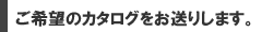 ]̃J^O肵܂B